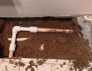 东洲测漏水哪家好